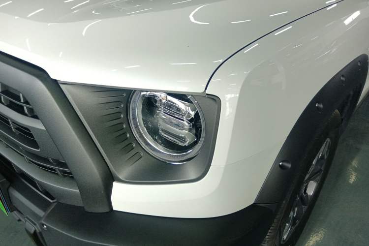 Used Haval DARGO 2024 2.0T DCT Chinese Rural Dog Edition
