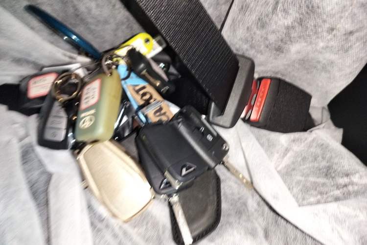 Used Geely Auto Monjaro L 2024 2.0TD DCT EVO Two-Wheel Drive Long-Range Version
