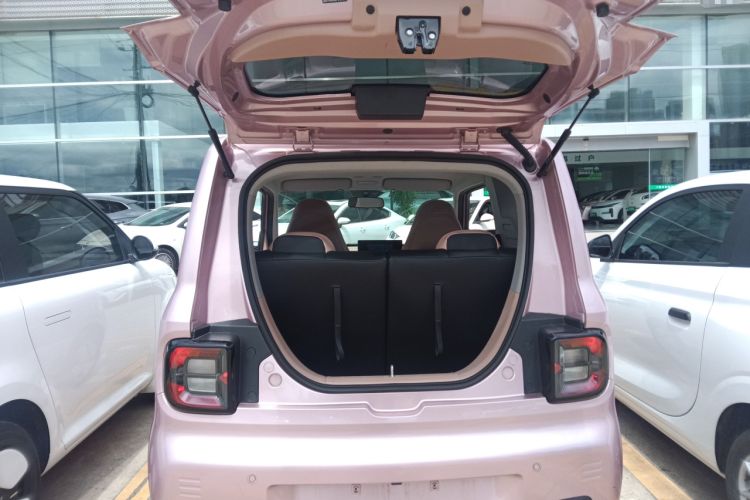 Used  Panda 2023 Panda Mini 200km Endurance Bear
