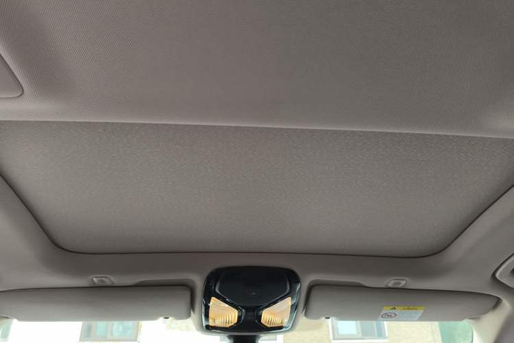 Used BMW 5 Series New Energy 2019 530Le Luxury Package
