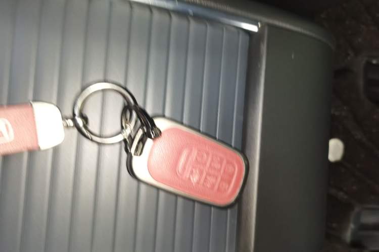 Used Honda Elysion 2024 2.0L eHEV Luxury Edition
