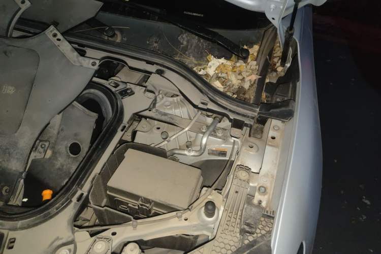 Used Leapmotor C11 2021 Luxury Edition