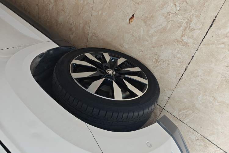 Used Skoda Karoq 2019 TSI280 SmartDrive Luxury Edition China V Standard
