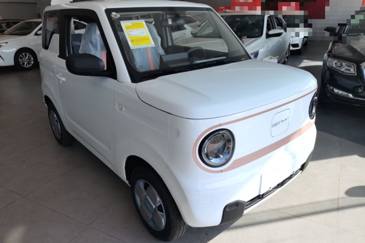 Used  Panda 2024 Panda Mini 200km Endurance Bear