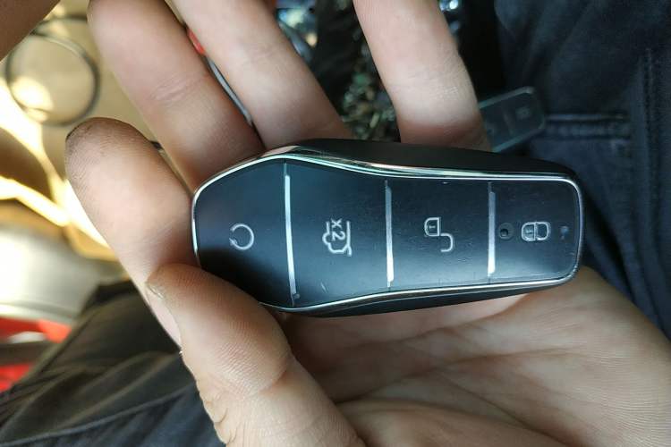 Used BYD Tang New Energy 2021 DM 2.0T Four-Wheel Drive High-Performance Luxury Model