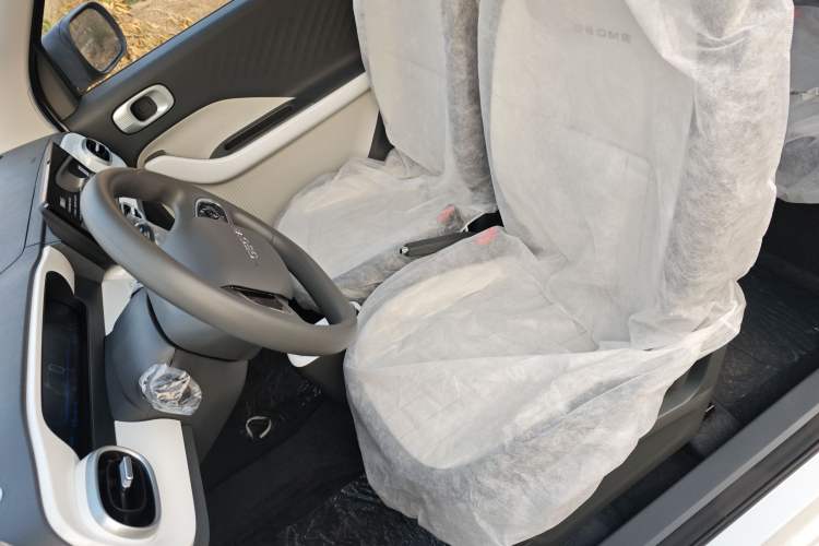 Used  Panda 2025 210km Panda Rider
