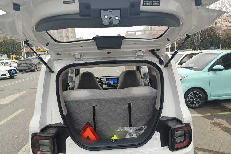 Used  Panda 2025 210km Panda Rider
