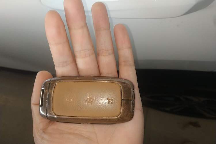 Used  L7 2023 1.5T 115 km Starship
