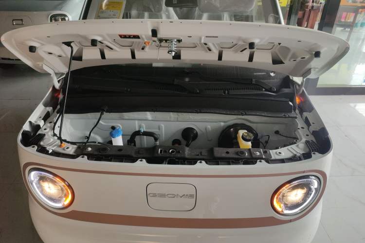 Used  Panda 2024 Panda Mini 200km Longteng PRO Edition
