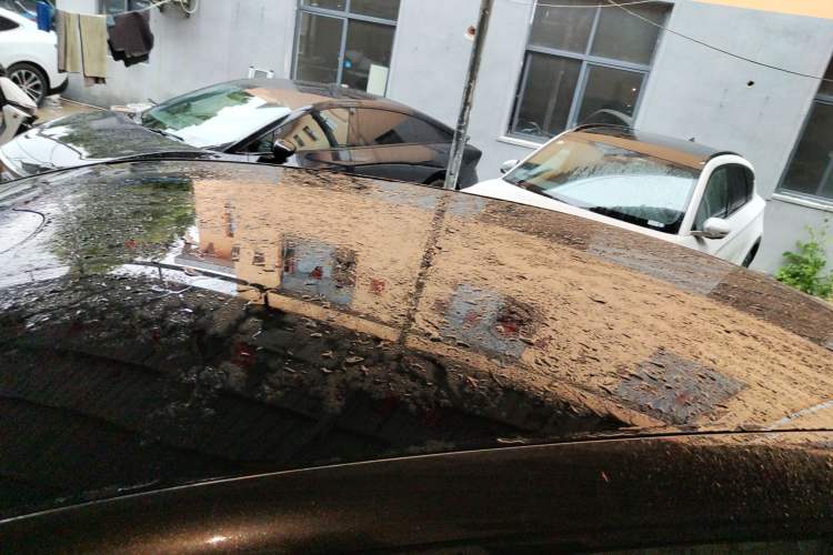 Used  07 2024 Pro Pure Electric Version