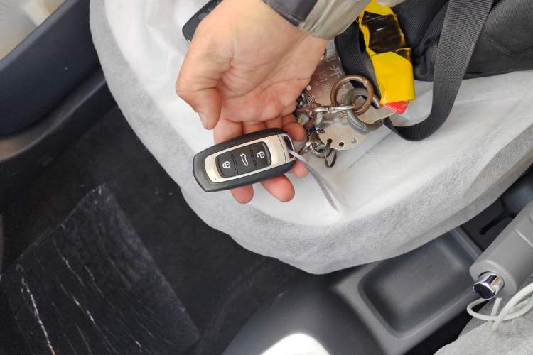 Used  Panda 2025 210 km – Yuanqi Bear
