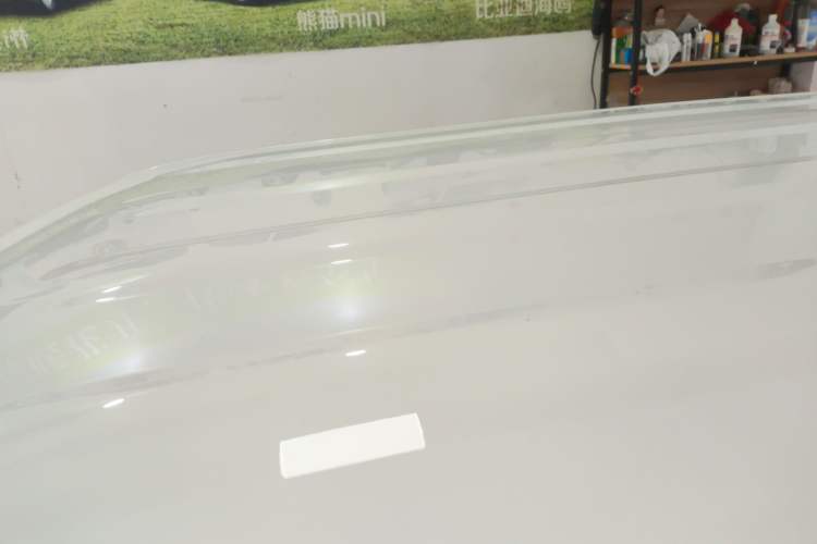 Used  Panda 2024 Panda Mini 200km Endurance Bear