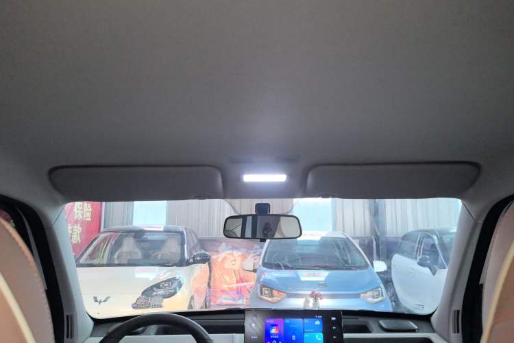 Used  Panda 2024 Panda Mini 200km Endurance Bear