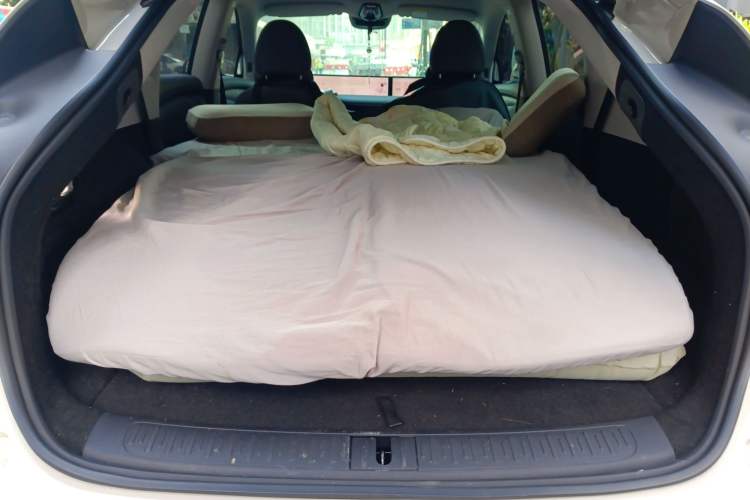 Used  LS6 2023 Max Enhanced Performance Edition
