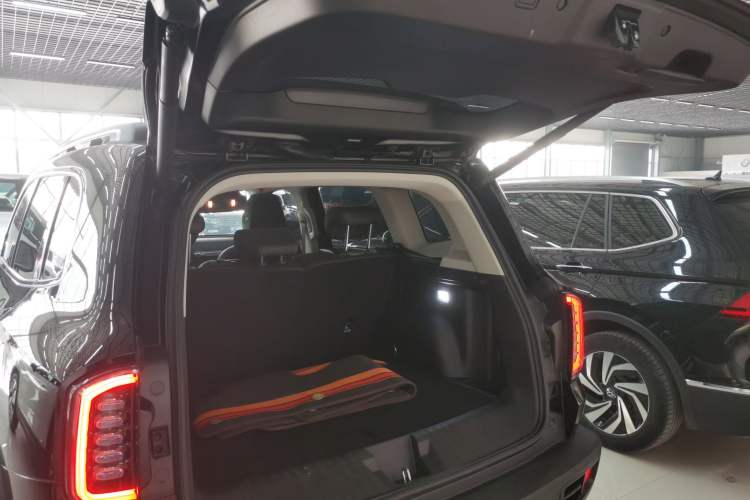 Used Haval DARGO 2024 2.0T DCT Chinese Rural Dog Edition