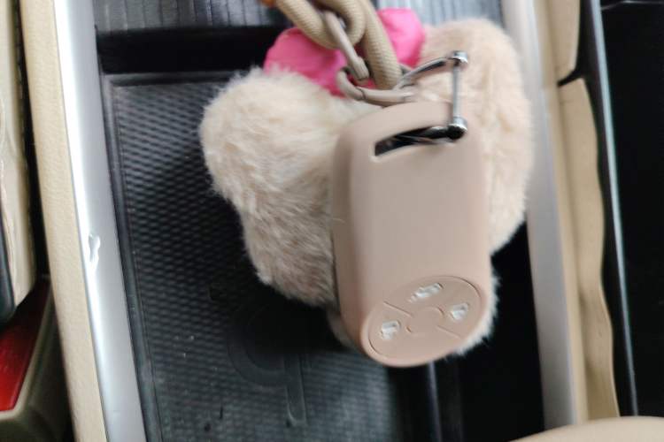 Used ORA Good Cat 2023 401 km Standard Range Premium Version Lithium Iron Phosphate