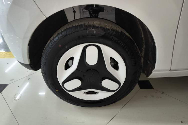 Used  Panda 2025 210 km – Yuanqi Bear
