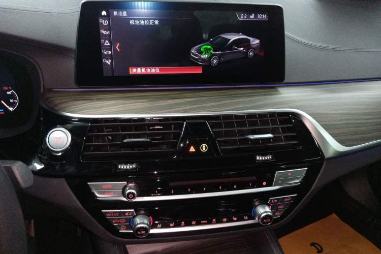 Used BMW 5 Series New Energy 2019 Updated Version 530Le Luxury Package
