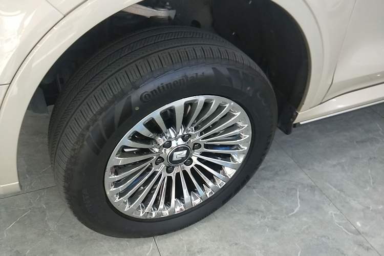 Used Tank 500 New Energy 2024 Hi4-T
