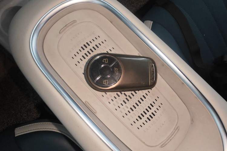 Used ORA Good Cat 2023 401 km Standard Range Luxury Version Lithium Iron Phosphate
