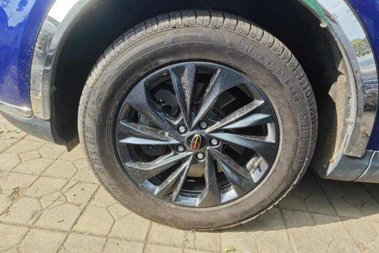 Used Hongqi HS5 2019 2.0T Smart Connect Flagship Edition
