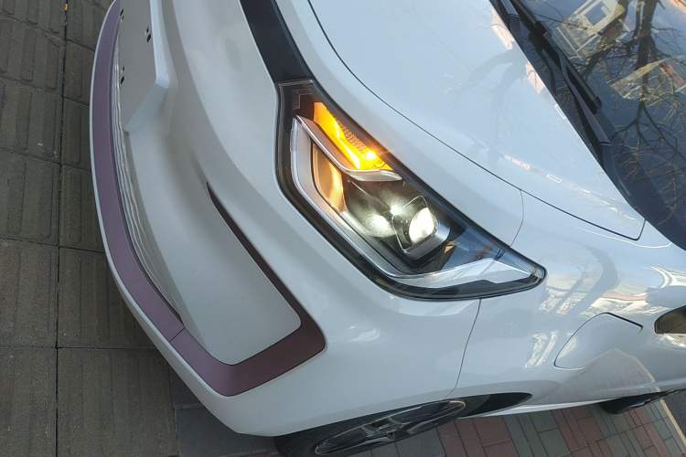 Used SOL E10X 2022 Flower Fairy Design Four-Leaf Clover