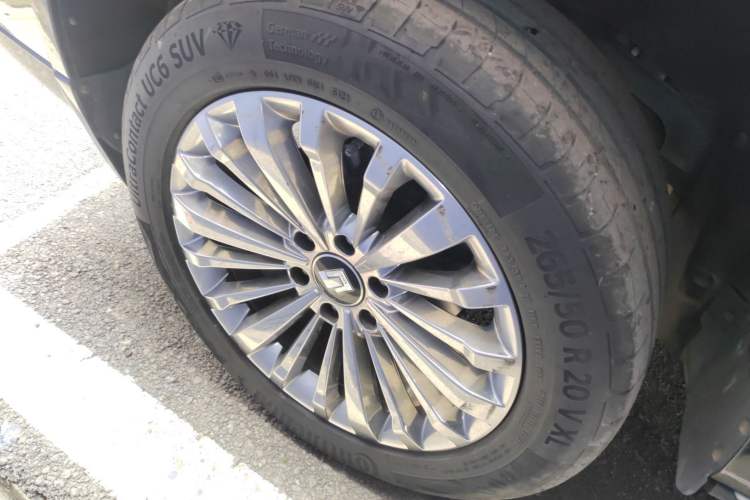 Used Tank 500 2022 3.0T Business Edition "Creation Realm" Design 5-Seater
