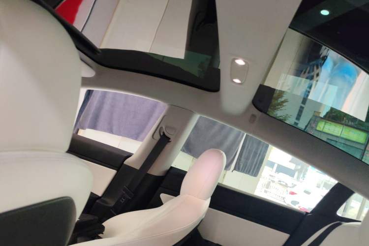 Used Tesla Model 3 2020 Standard Range Rear-Wheel Drive Upgraded Version