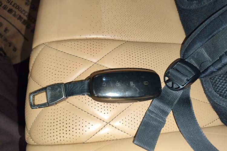 Used Denza D9 2022 DM-i 970 Four-Wheel Drive Prestige Model
