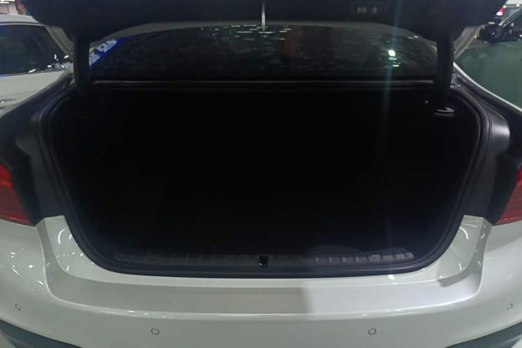 Used BMW 5 Series 2020 530Li Leading Model M Sport Package