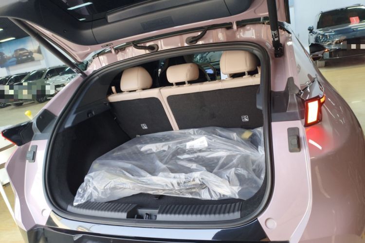 Used Lynk & Co Z20 2025 530 km Range Rear-Wheel Drive Max