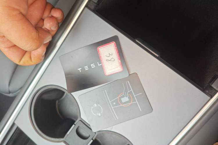 Used Tesla Model Y 2021 Standard Range Rear-Wheel Drive Version
