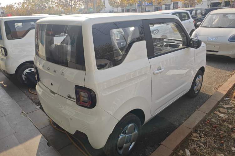 Used  Panda 2024 Panda Mini 200km Endurance Bear
