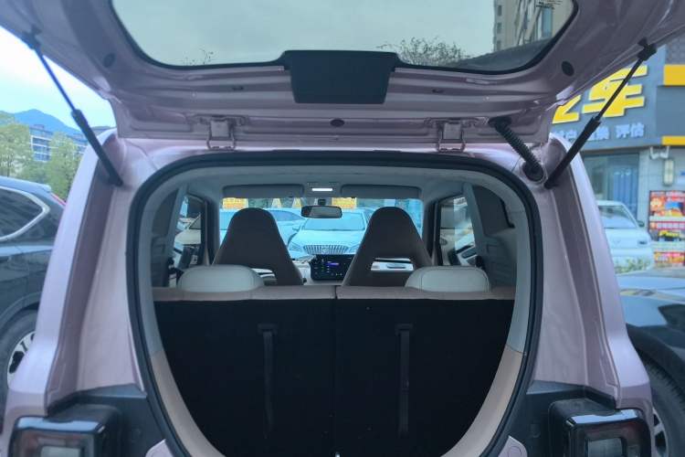 Used  Panda 2023 Panda Mini 200km Endurance Bear