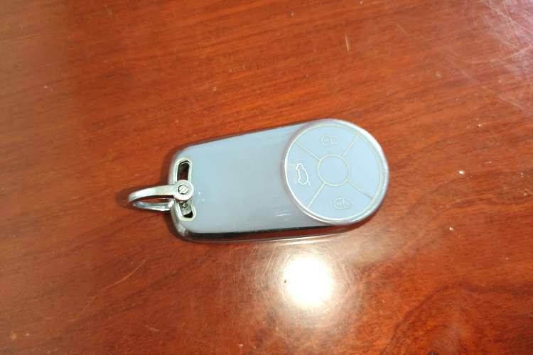 Used ORA Good Cat 2023 401 km Standard Range Luxury Version Lithium Iron Phosphate