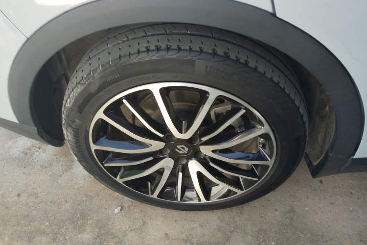 Used Leapmotor C11 2021 Zhixing Edition 510
