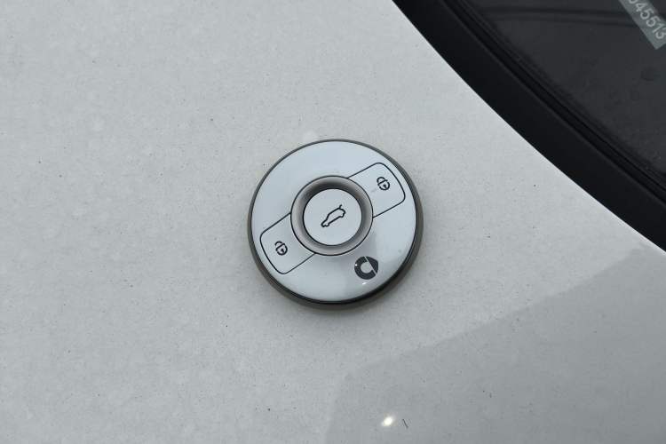 Used  #1 2024 Dynamic Standard Edition