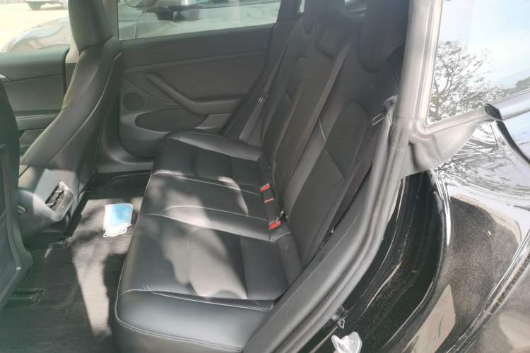 Used Tesla Model 3 2022 Rear-Wheel-Drive Version
