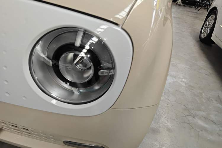 Used ORA Black Cat 2021 351 km Standard Version
