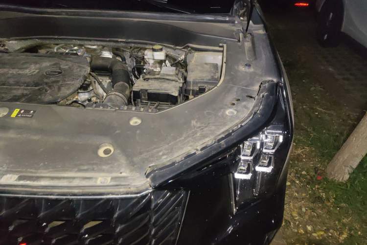 Used GAC Trumpchi GS8 2022 Linghang Series 2.0 TGDI Two-Wheel-Drive Luxury Smart Connectivity Version (7 Seats)
