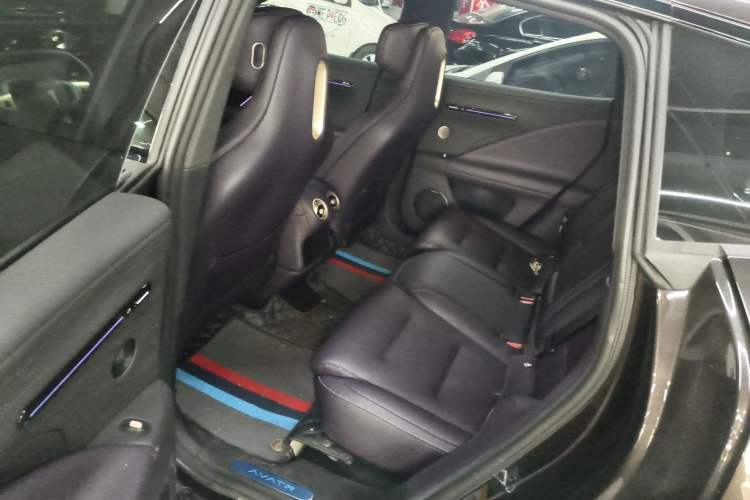 Used  07 2024 Pro Pure Electric Version
