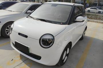 Used Qiyuan Lumin 2025 205 km Xiangqin Version