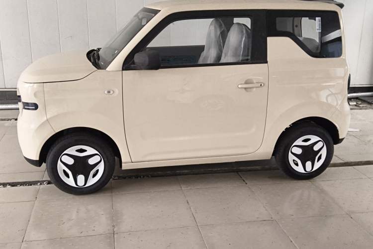 Used  Panda 2025 210 km – Yuanqi Bear
