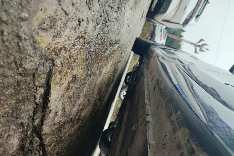 Used Nissan Sylphy 2018 1.6XL Manual Luxury Edition
