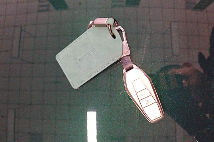 Used  03 2024 501km Two-Wheel Drive Long-Range Version
