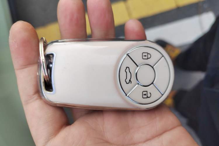 Used ORA Good Cat 2021 500km Long-Range Business Edition Lithium-NMC
