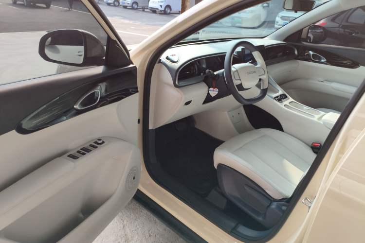 Used  Geome 2025 310km Youth Edition
