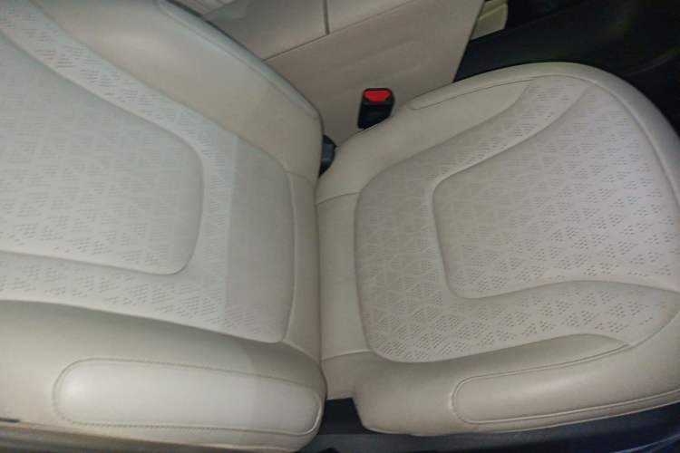 Used  #1 2022 Pulse Heartbeat Edition