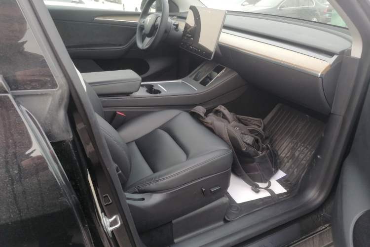 Used Tesla Model Y 2021 Standard Range Rear-Wheel Drive Version
