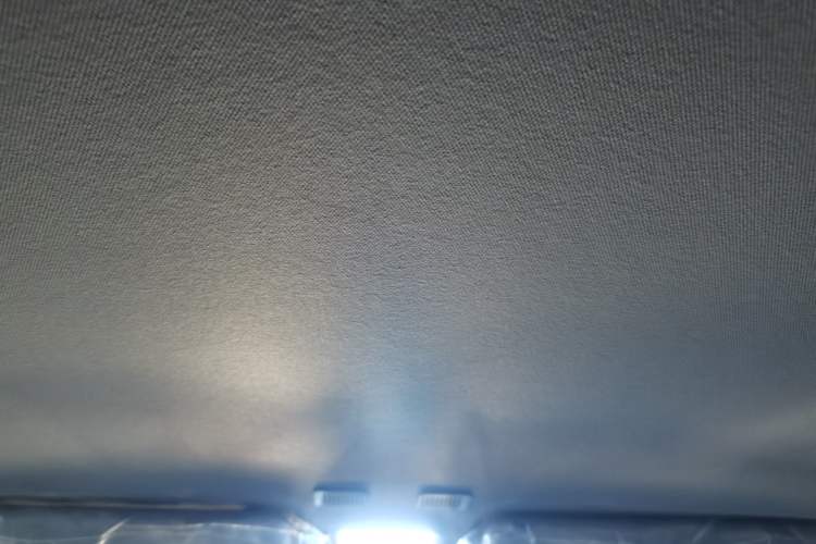 Used  Panda 2024 Panda Mini 200km Endurance Bear
